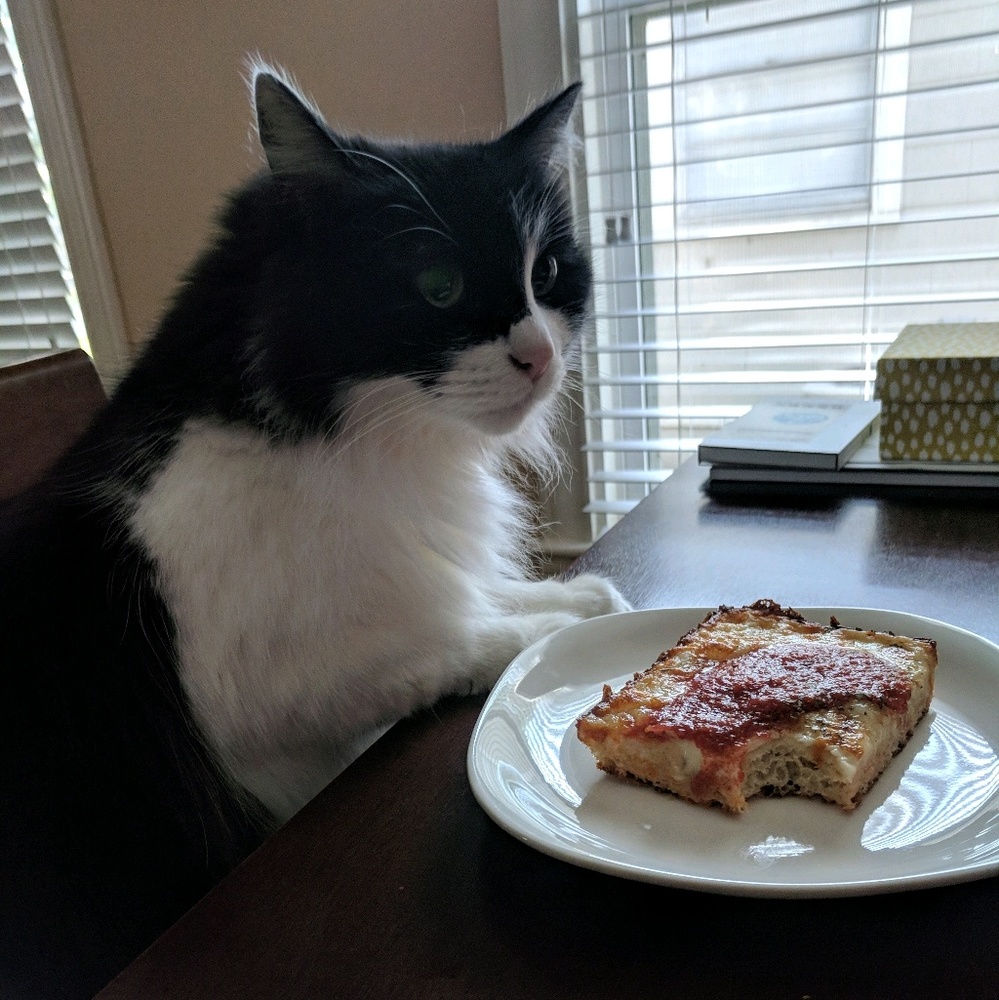 Meet your Posher, Lisa